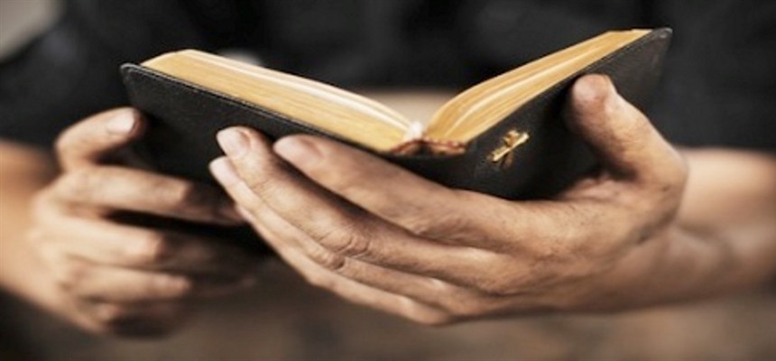 Deepen your Catholic Faith through the Scriptures